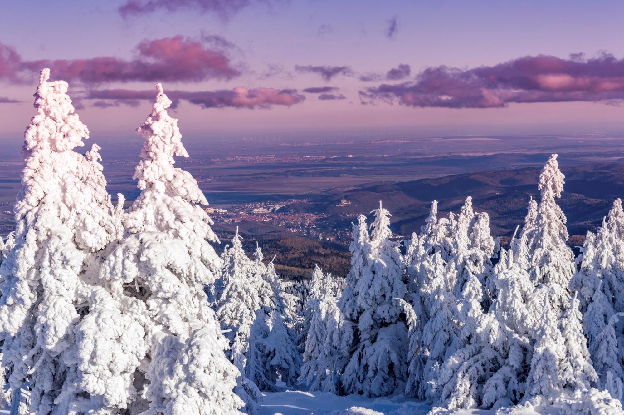 Ferienwohnungen An Der Bimmelbahn แวร์นิกโกโรเดอ ภายนอก รูปภาพ